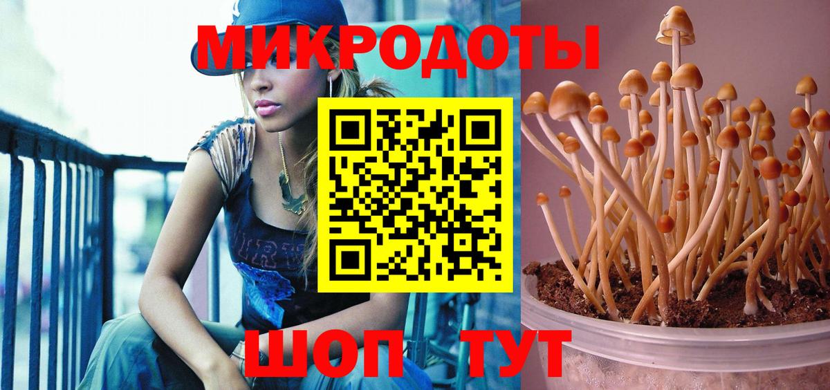 Обнинск  Псилоцибиновые грибы прущие грибы  что такое наркотик  Вход с VPN 